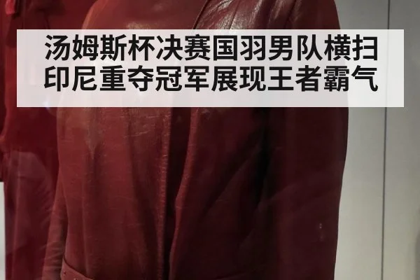 汤姆斯杯决赛国羽男队横扫印尼重夺冠军展现王者霸气