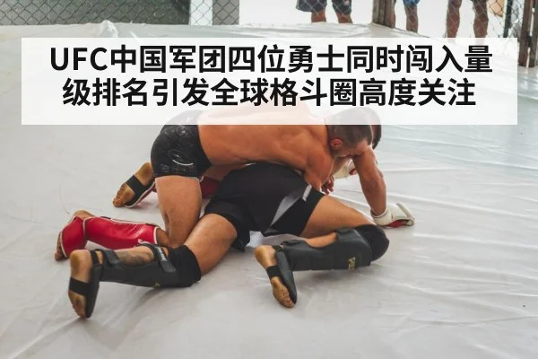 mixed martial arts fight